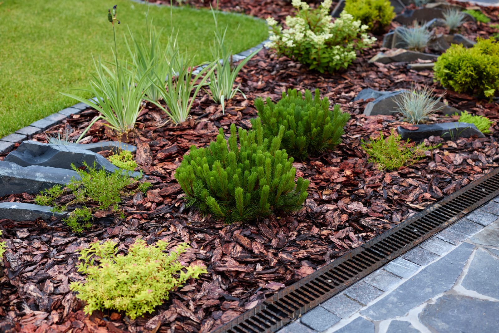 Looppad in Zutphen met MBI-klinkers en mooi aangelegde plantenrand met mulch, uitgevoerd door Sunny Hoveniers.