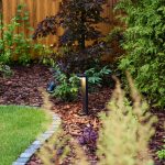 Tuinonderhoud in Warnsveld door Sunny Hoveniers: knipbeurt hagen, verzorgde boord met mulch en kort gemaaid gras.
