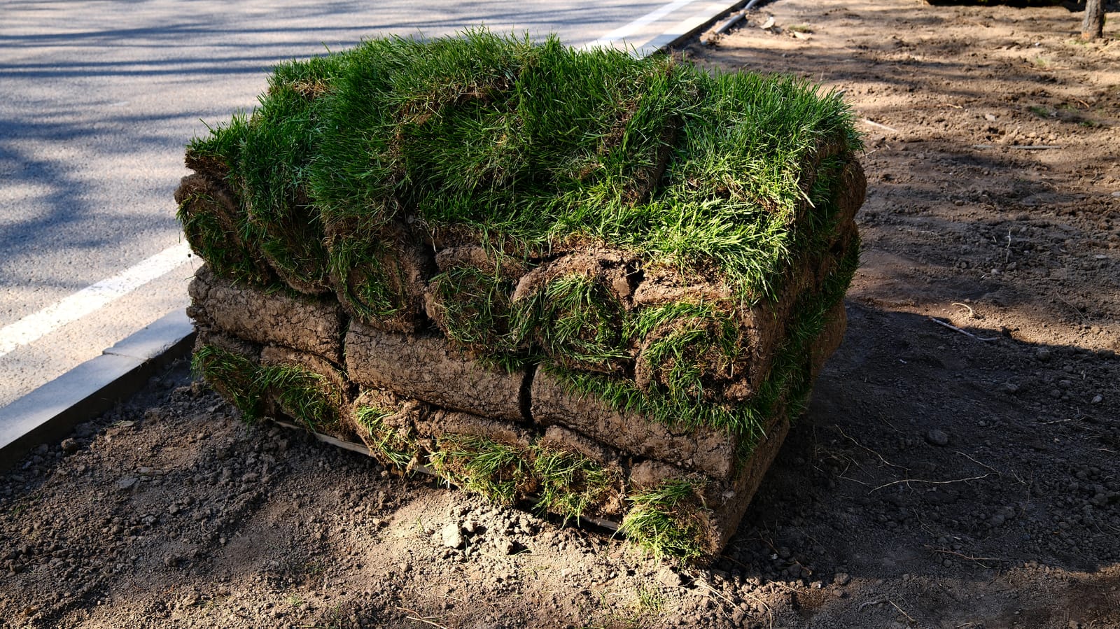 Bestrating en beplanting in Brummen door Sunny Hoveniers met MBI keramische tegels en siergrassen langs de border.